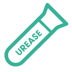 UREASE