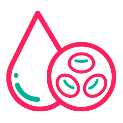 Biometría Hemática V. S. G.