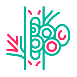 Hemoglobina Glucosilada (HB A1C)