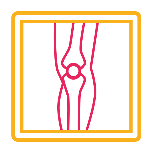 Antebrazo 2 Proy. (Ap y Lat.)