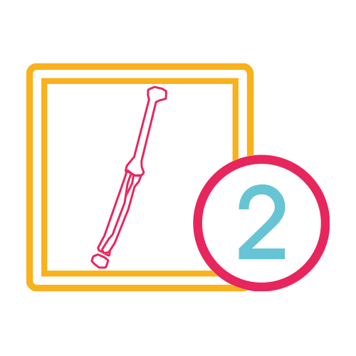 Humero o Brazo 2 Proy. (Ap y Lat.)