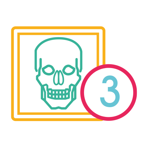 Craneo 3 Proy. (Ap. Lat. y Towne)