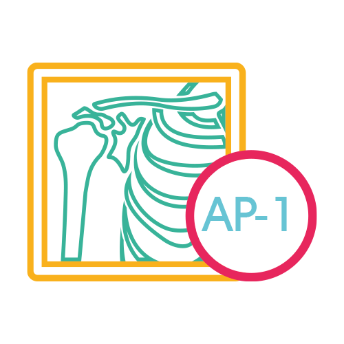 Humero AP - 1