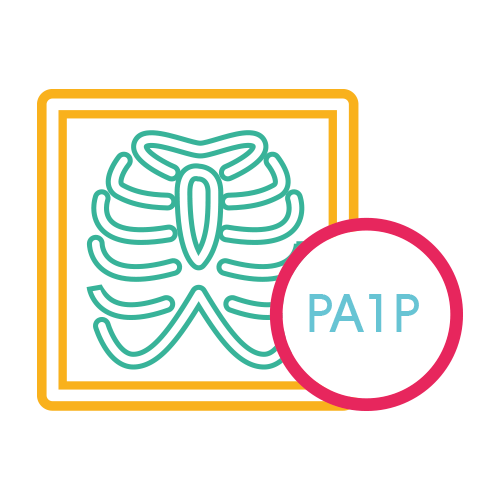 Torax Oseo Proyeccion Adicional 1 Posicion AP