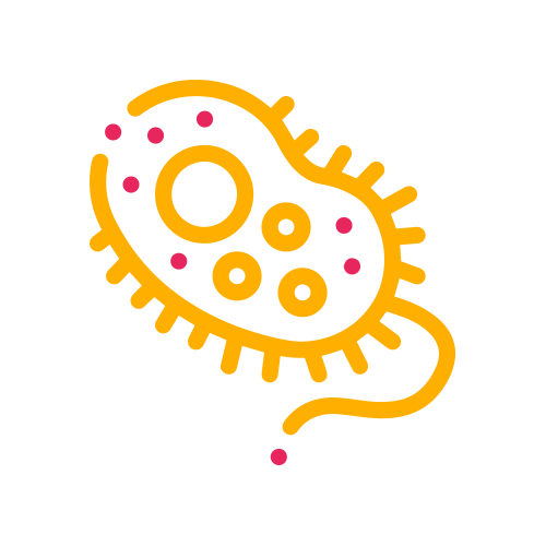 Baciloscopia BAAR (5 Muestras)