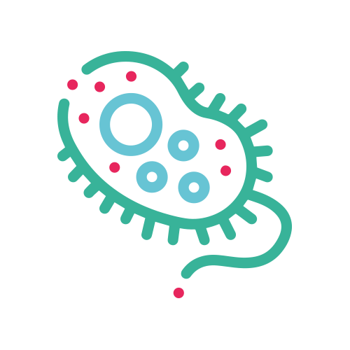 Baciloscopia BAAR (4 Muestras)