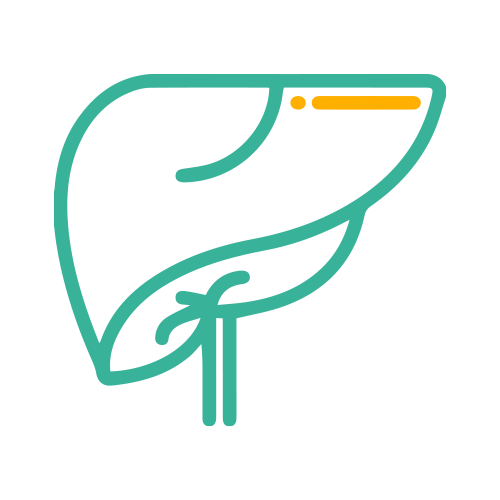 Bilirrubina ( Total, Directa e Indirecta )