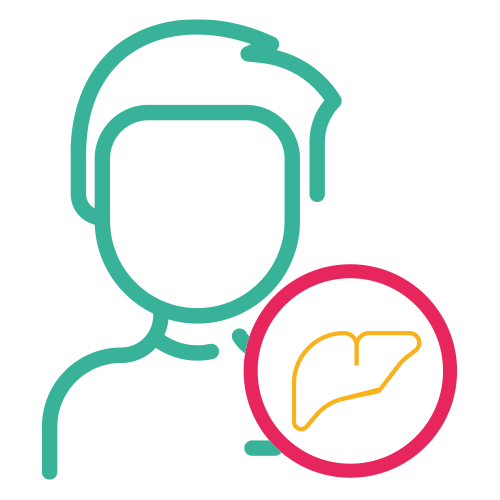 Perfil Hepático  II