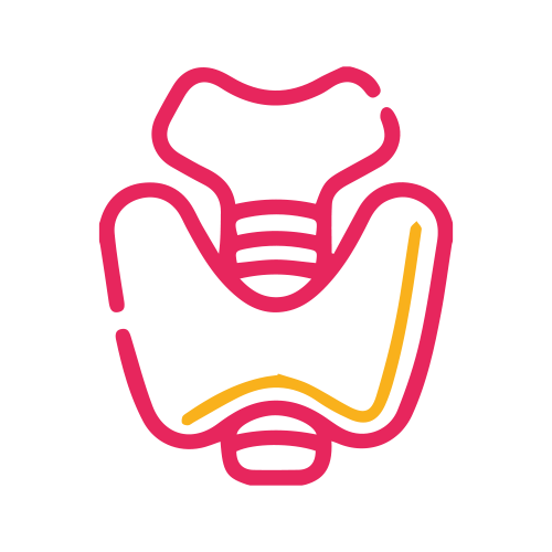 T3 Libre ( Triyodotironina Libre )