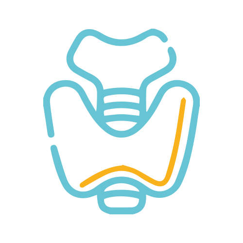 T4 - T3 Total ( Tiroxina y Triyodotironina )